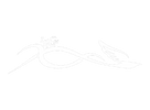 Logoprincipal_liter