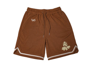 Prototipe 2024 [Brown]